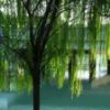 Blue Willow 14oz Jar Candle