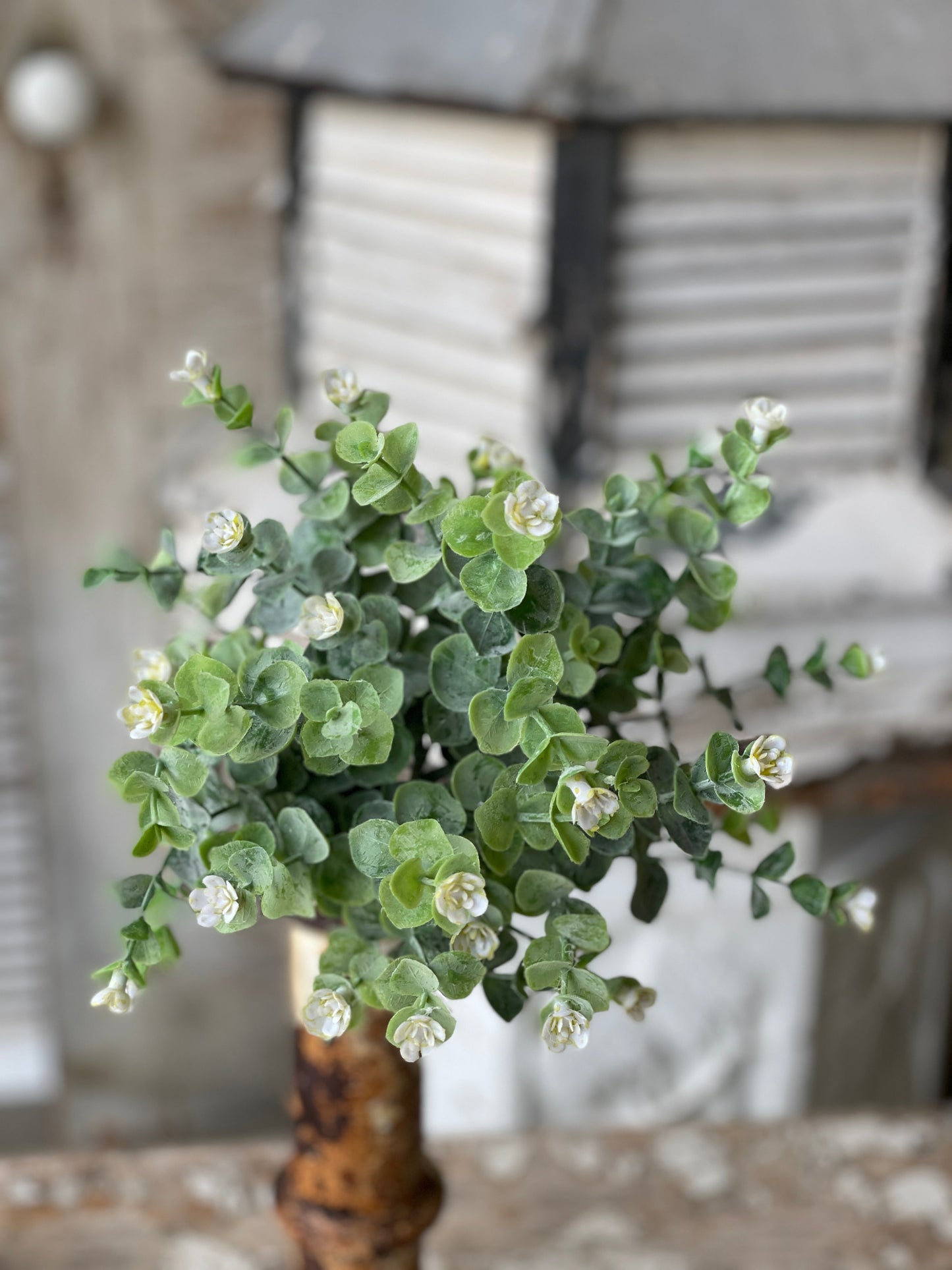 Idlewood Bush | 12" |