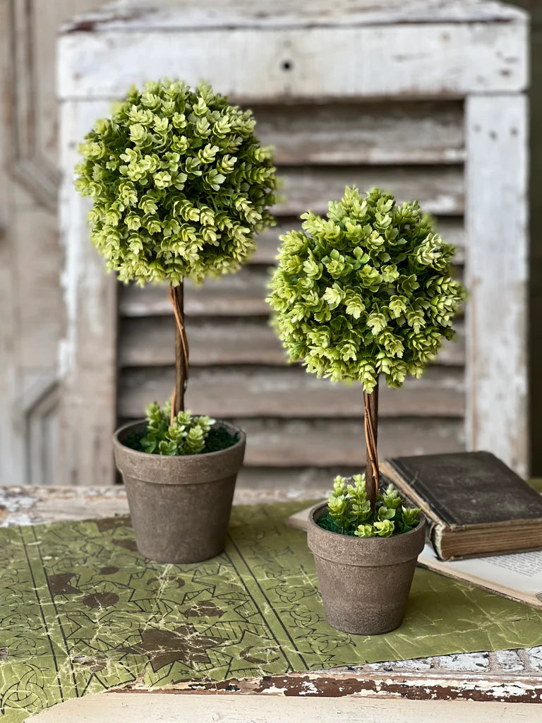 Shasta Hops Topiary | 17.5"