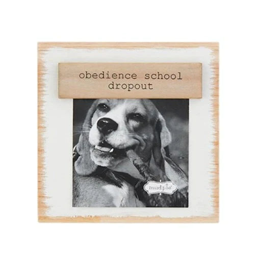 obedience school pet frame