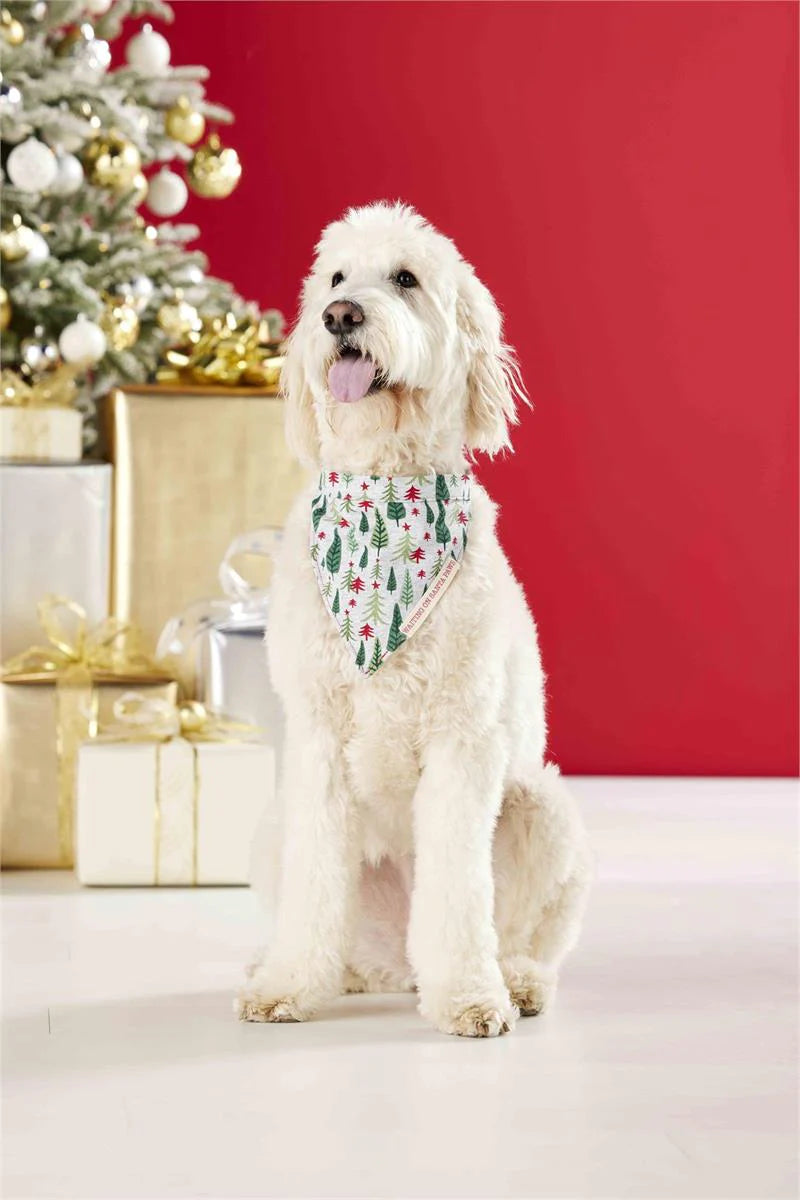 Family Pj Dog Bandana