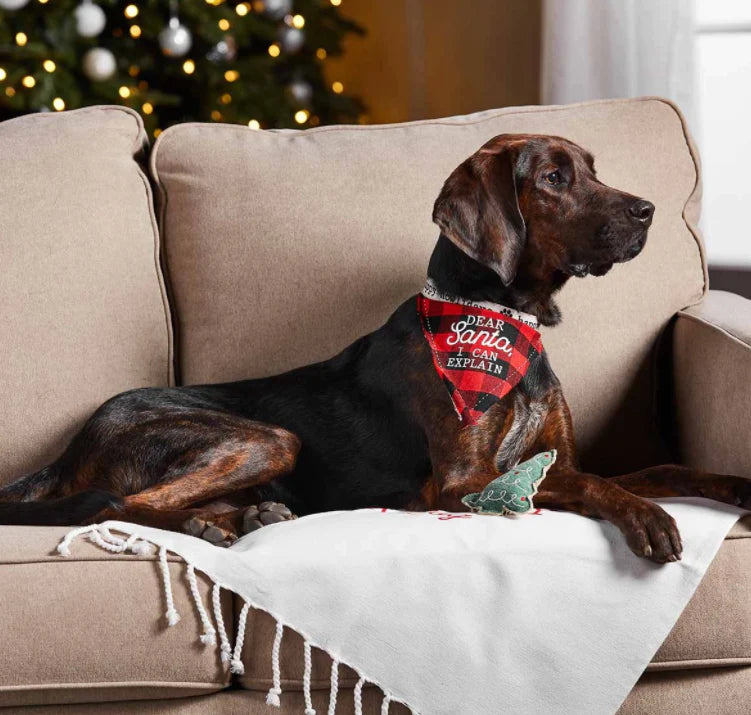 DEER-SANTA-TOY-BANDANNA-SET