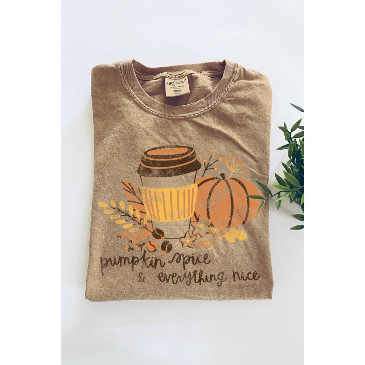 Pumpkin Spice Mineral Graphic Tee - Mineral Taupe
