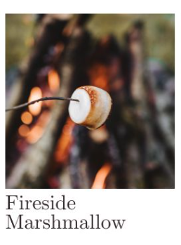 1803 Fireside Marshallow Candle 14oz