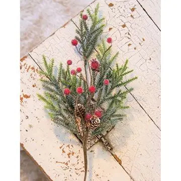 Mountain Pine with Berries Spray 18 Inch